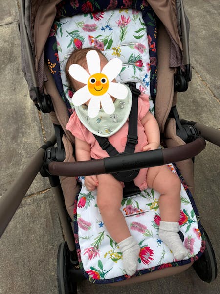 Reversable Pram Liner