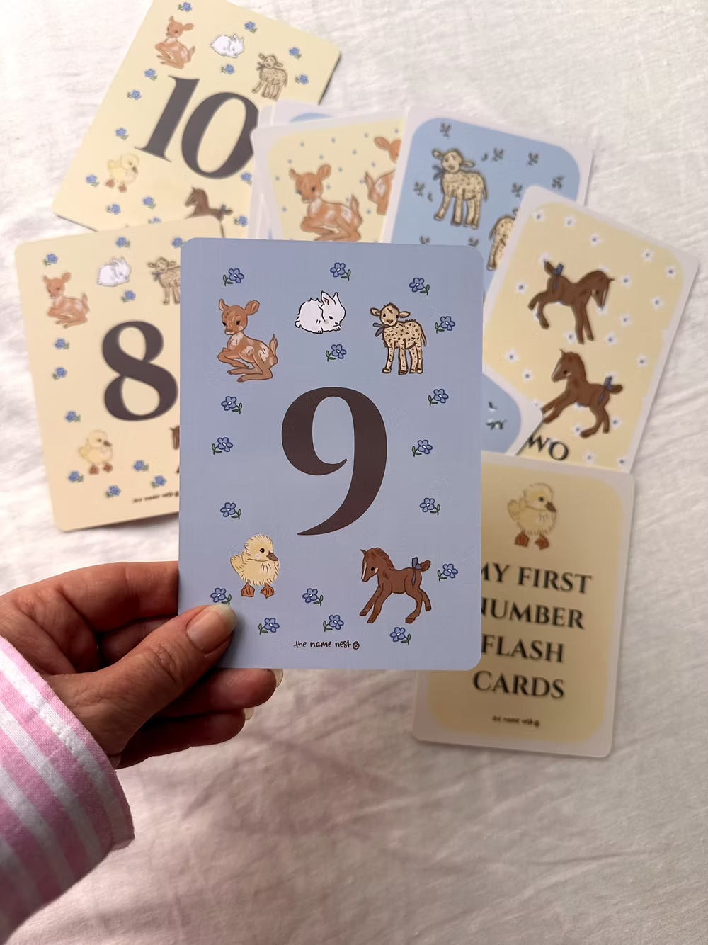 My First Number Flash Card Set