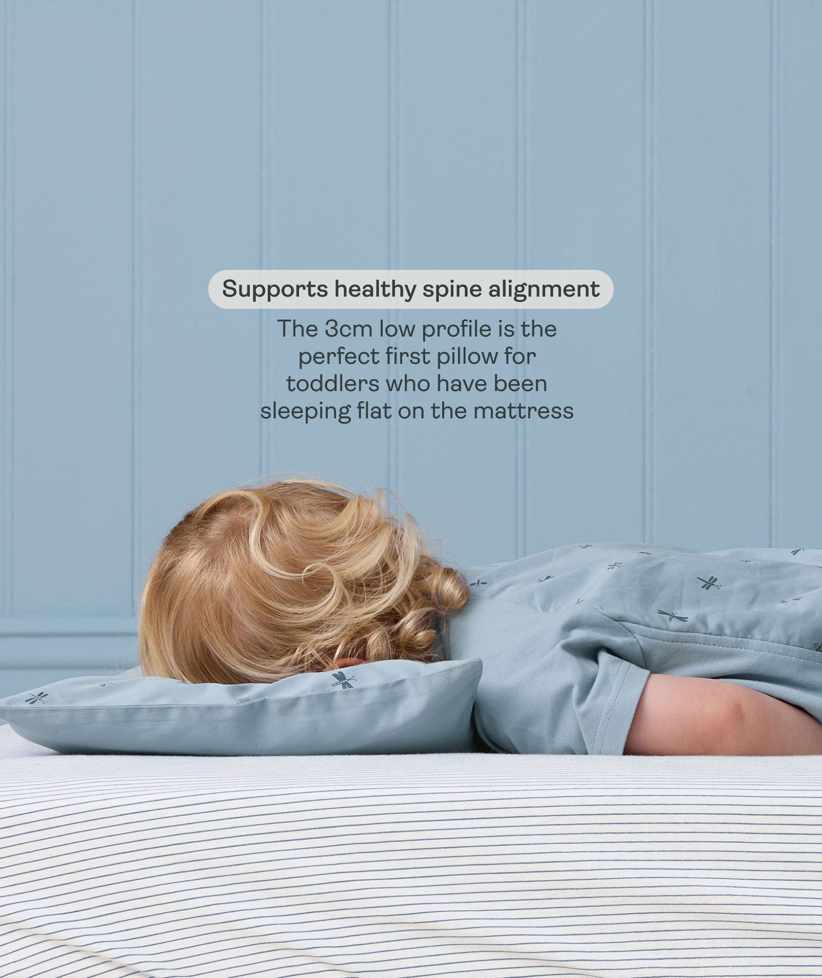 Organic Toddler Pillow and Case