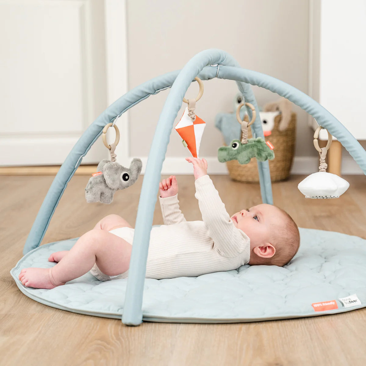 Activity Play Mat