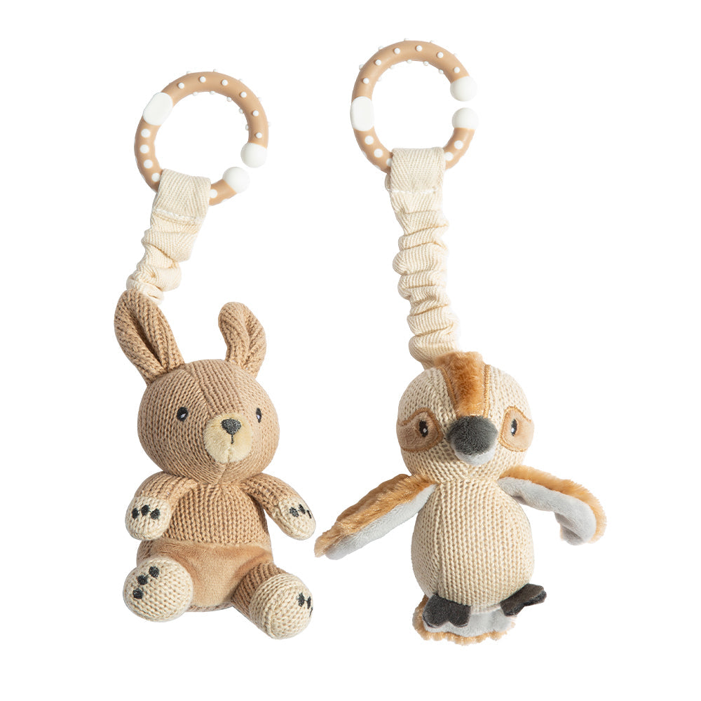 2 Pack Stroller Toy