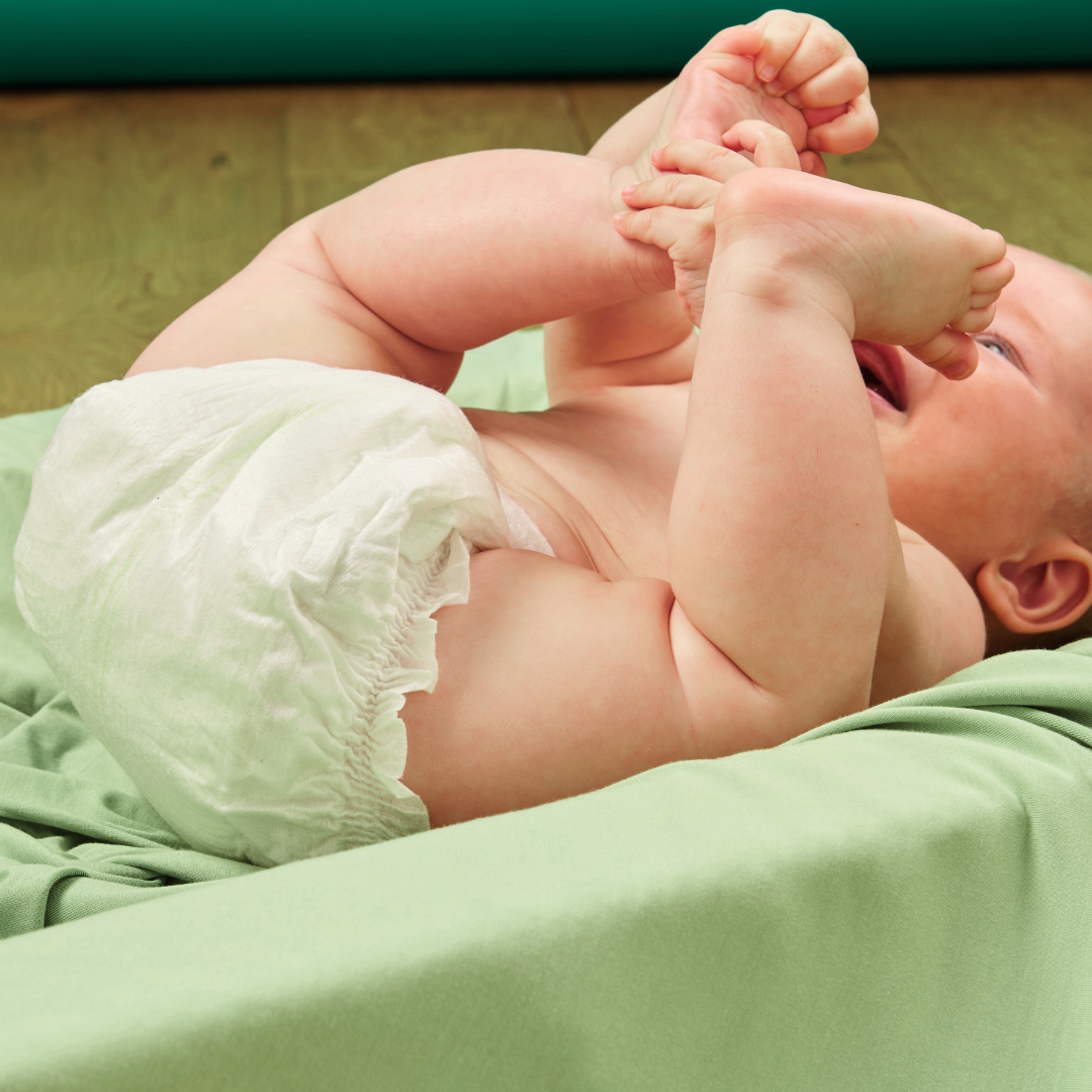 Eco Nappies Comfy Koalas