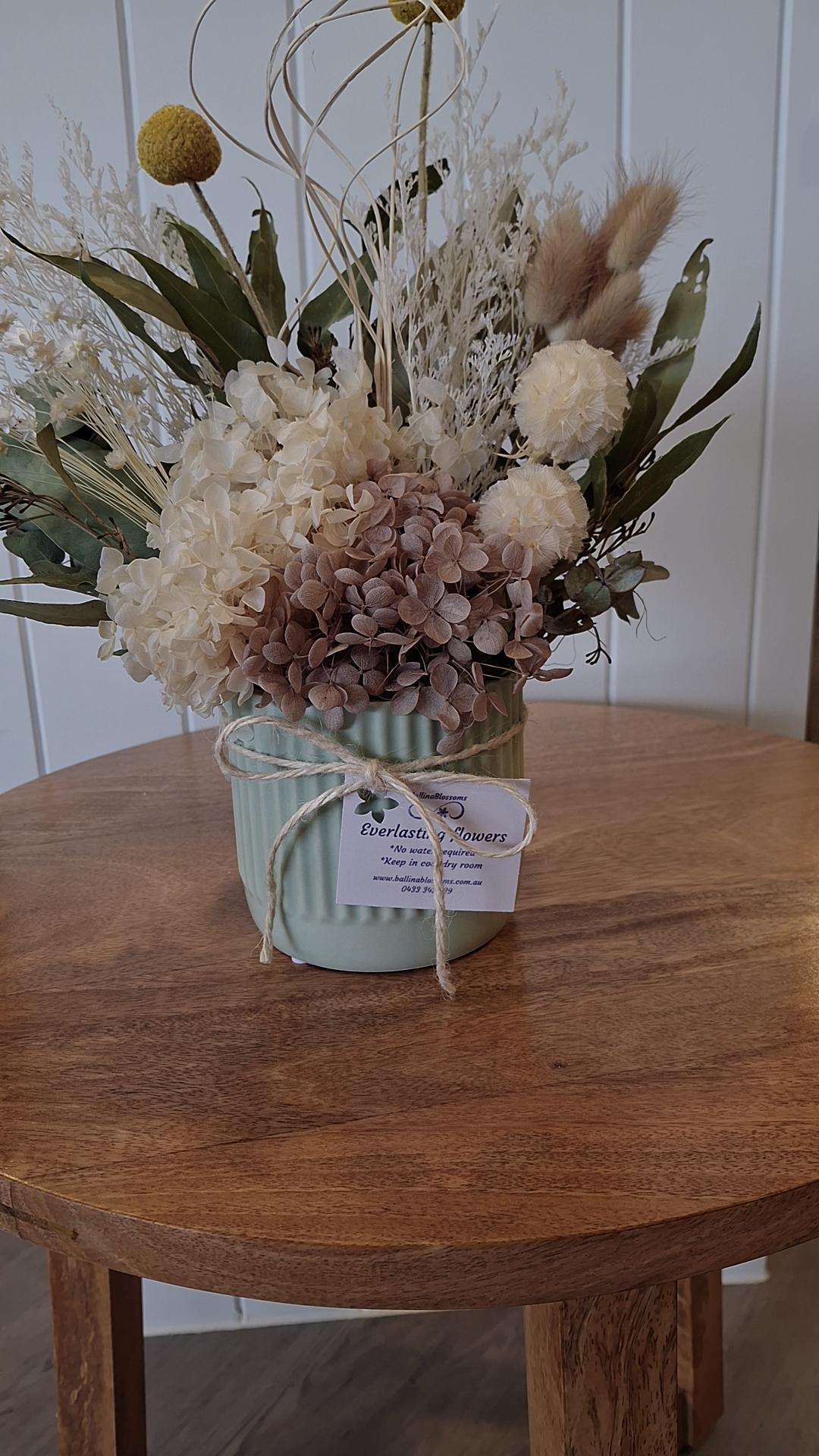 Everlasting Flowers by Ballina Blossoms