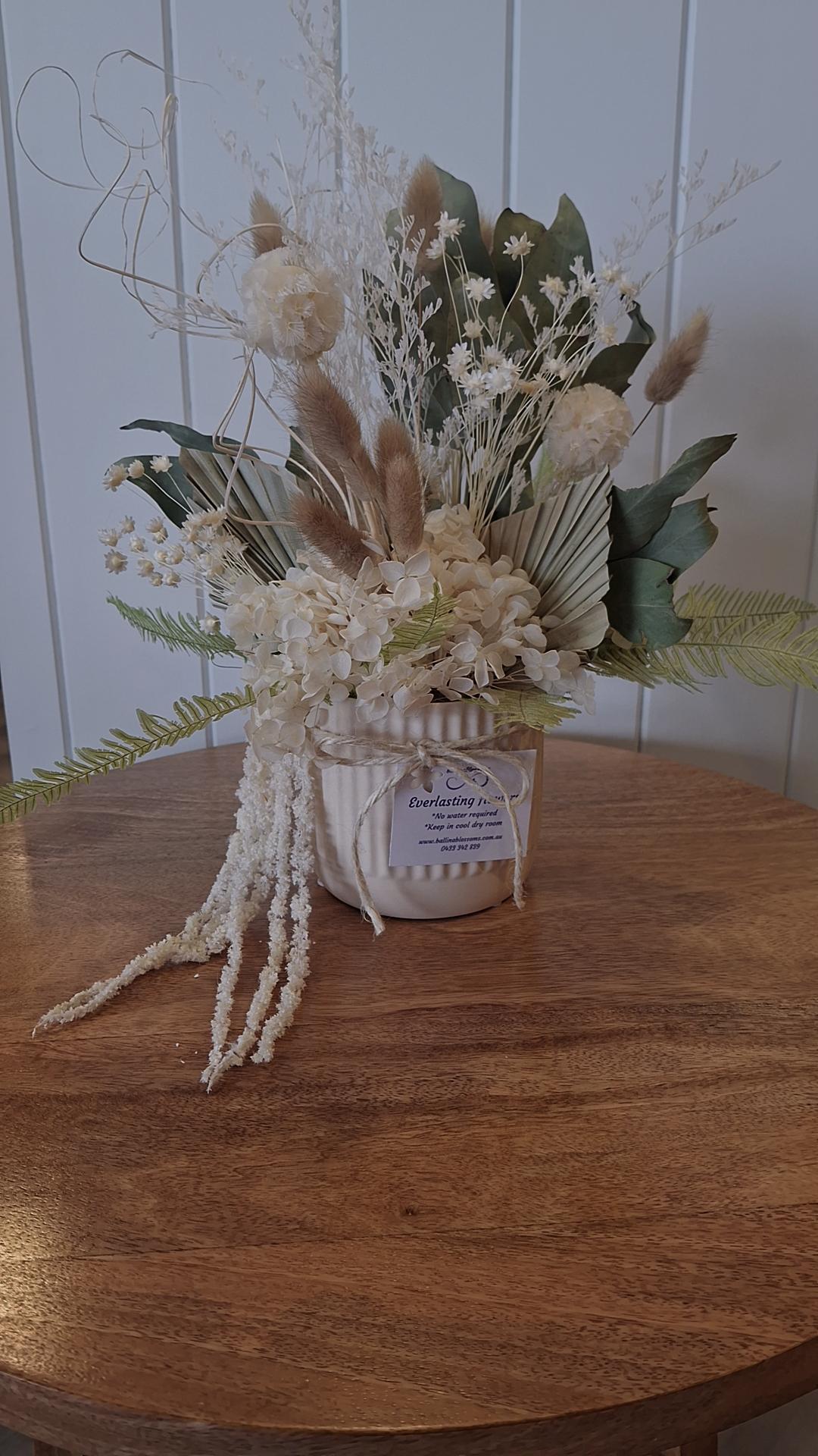 Everlasting Flowers by Ballina Blossoms