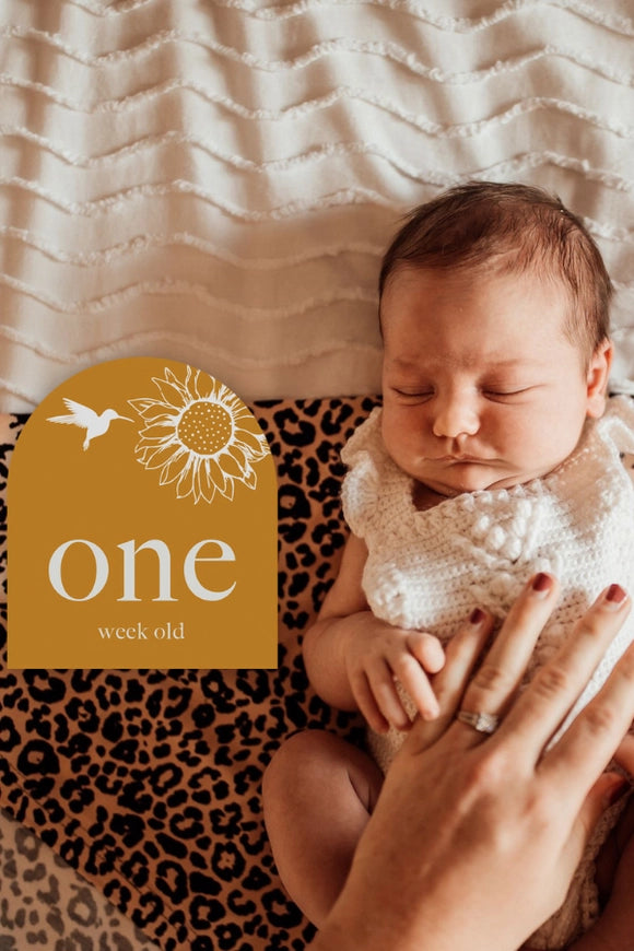 You Are My Sunshine Baby Milestone Cards