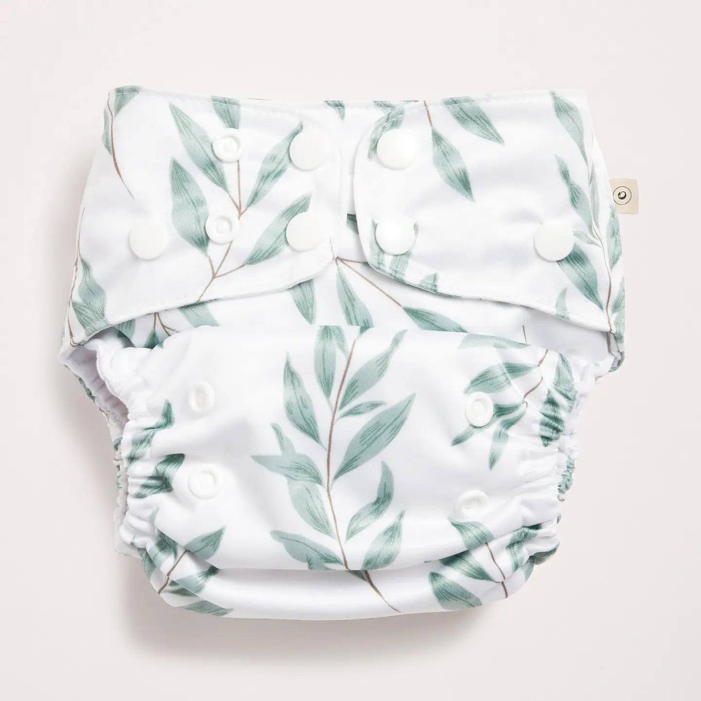 2.0 Modern Cloth Nappy