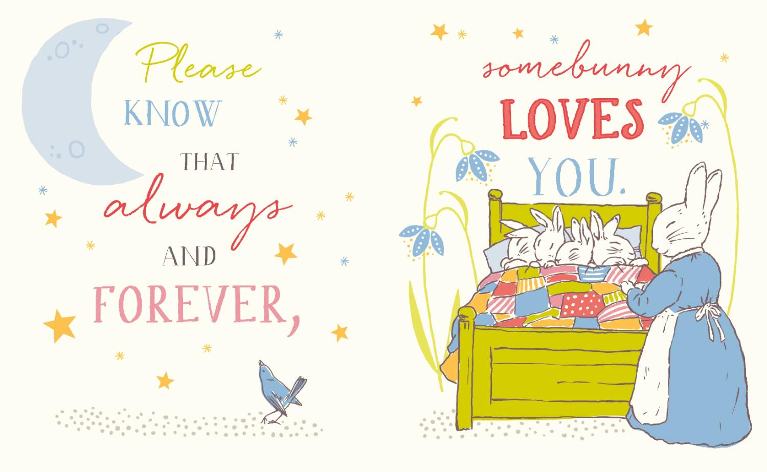 The World of Peter Rabbit Somebunny Loves You