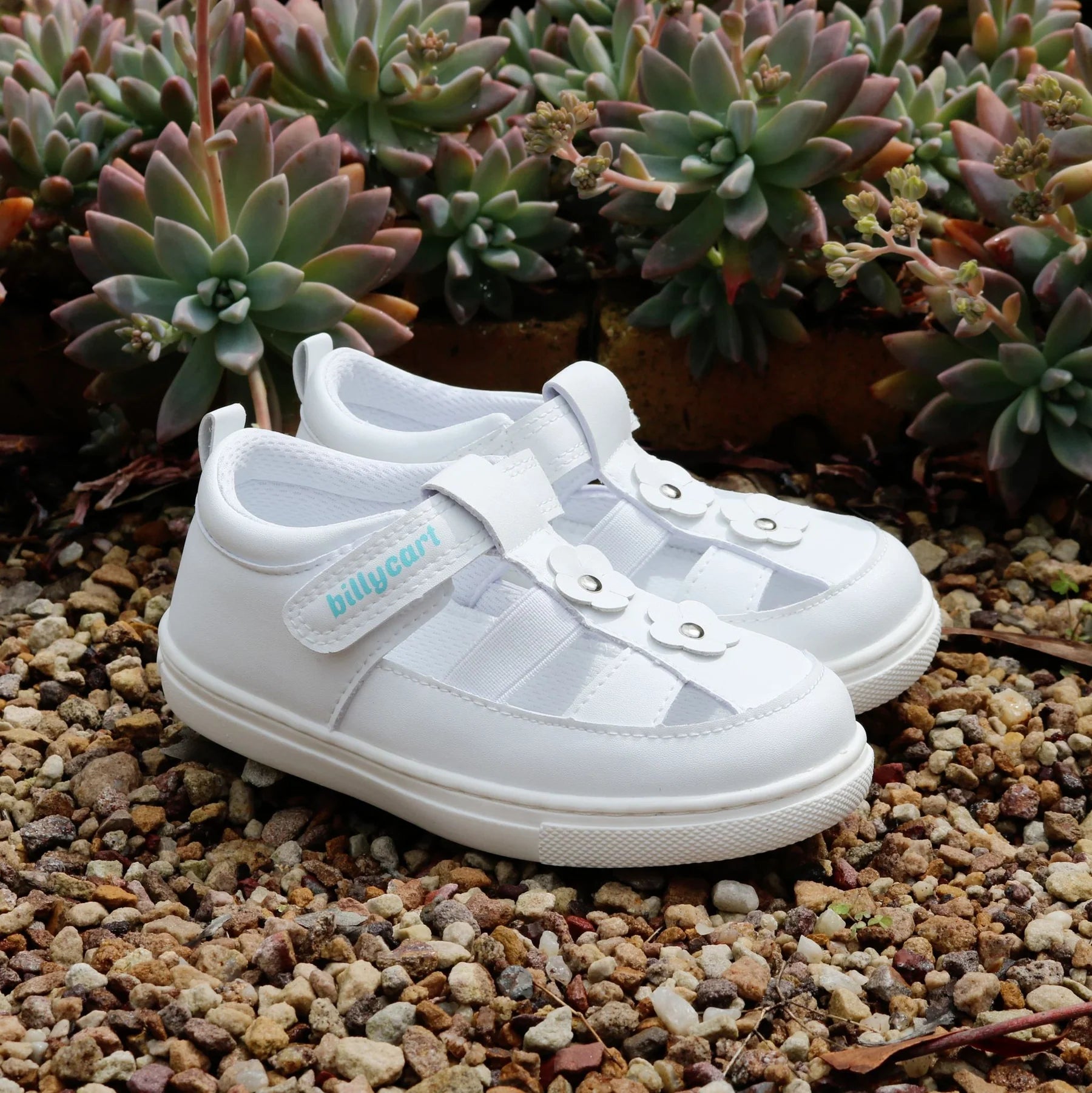 Layla toddler girls sandals