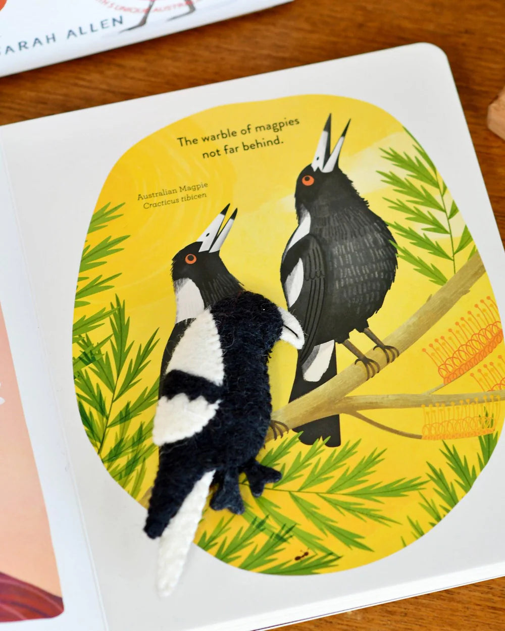 Book with Finger Puppet Gift Sets