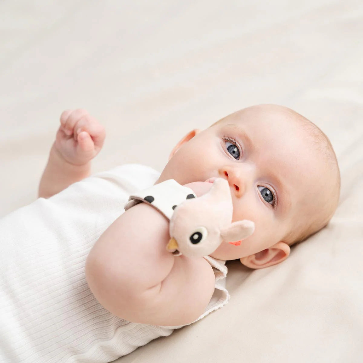 Wrist Rattle 2 Piece