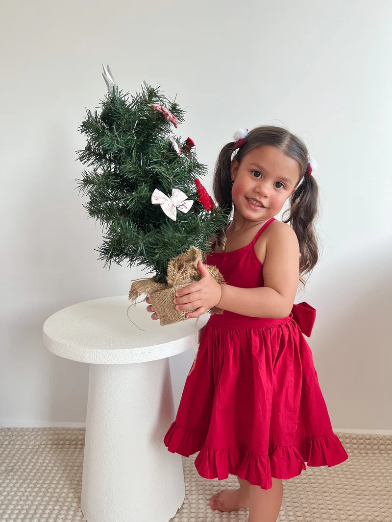Holly Girls Red Christmas Dress