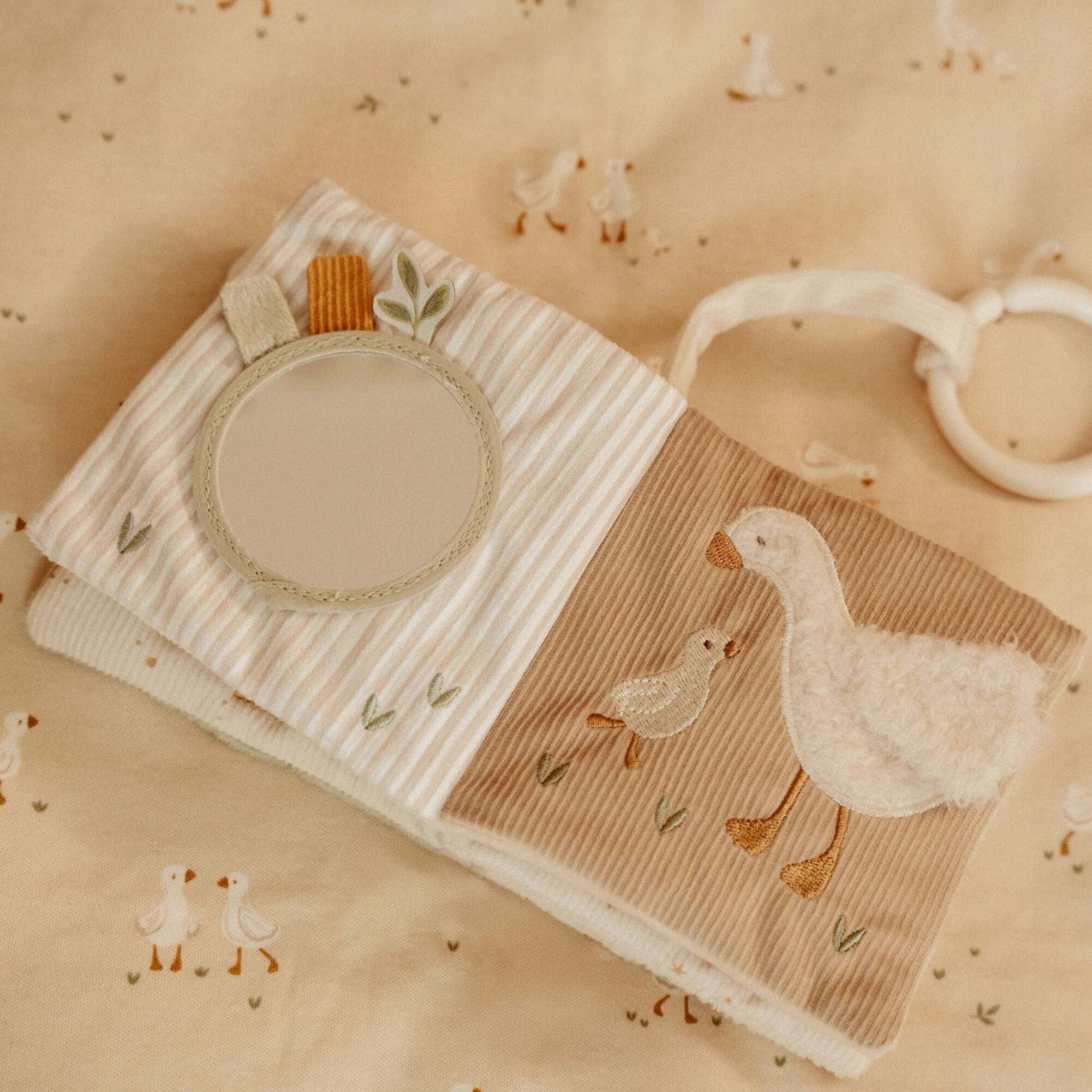 Little Goose Stroller book