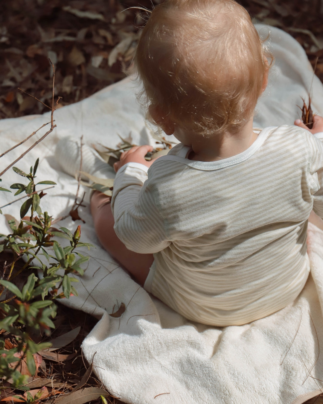 Organic Stripe Jersey Baby Bodysuit Brown/Natural