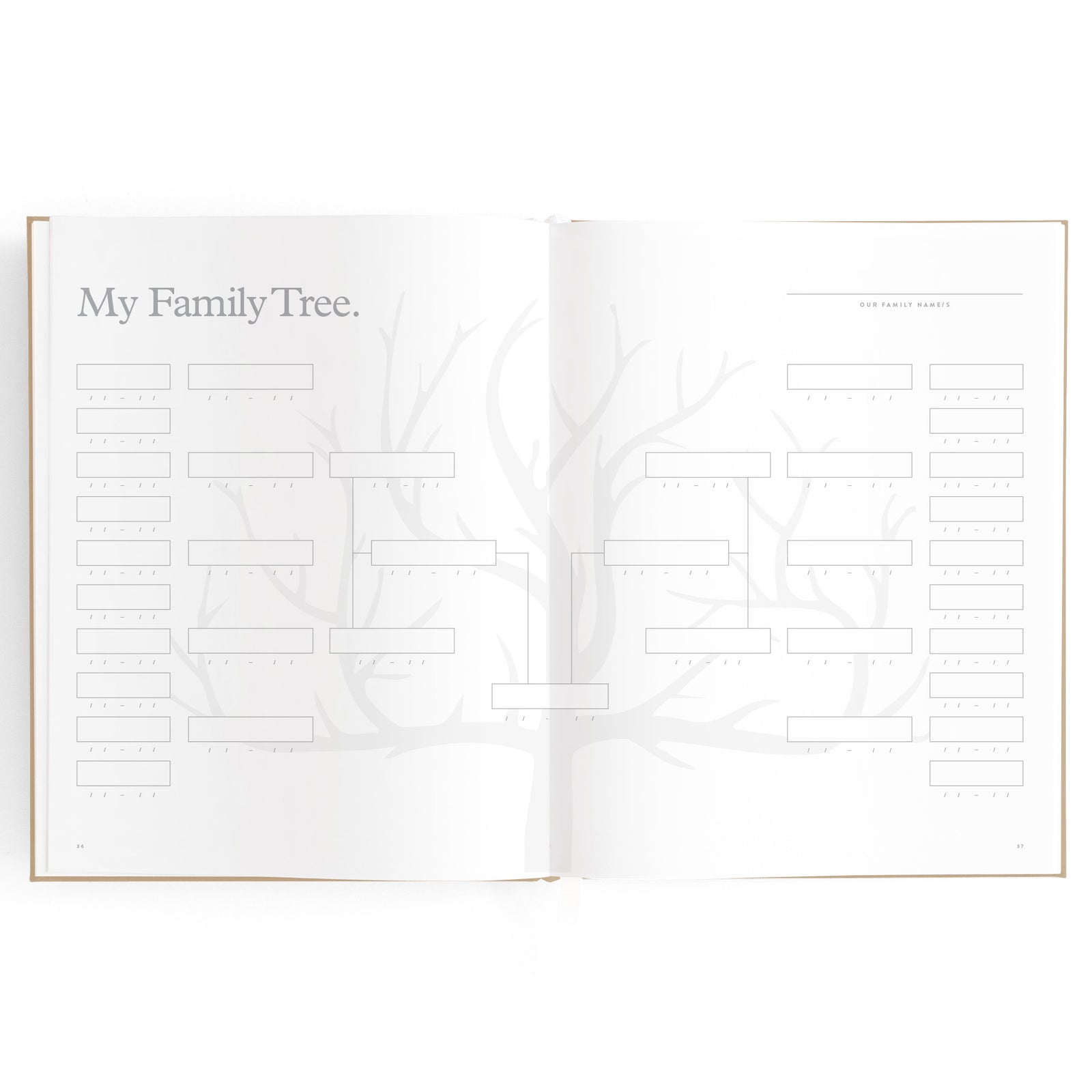 Fox & Fallow Baby Book