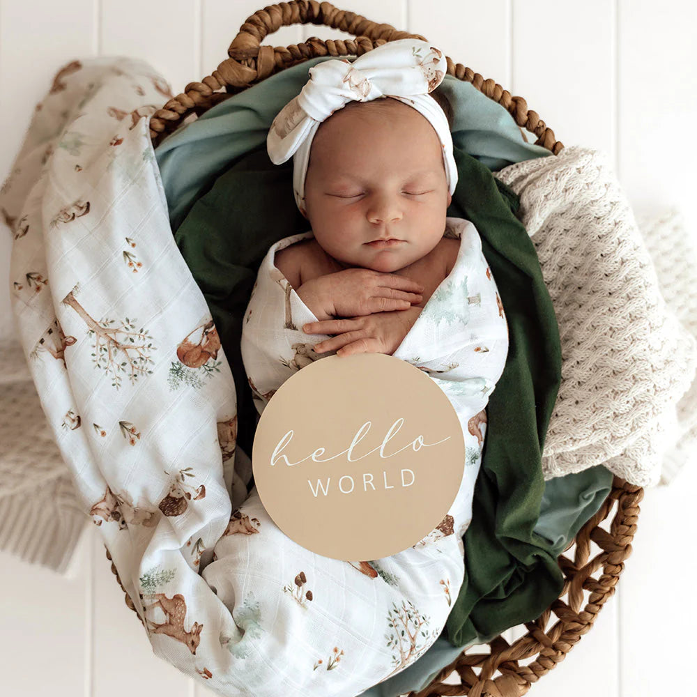 Snuggle Hunny Reversible Milestone Cards