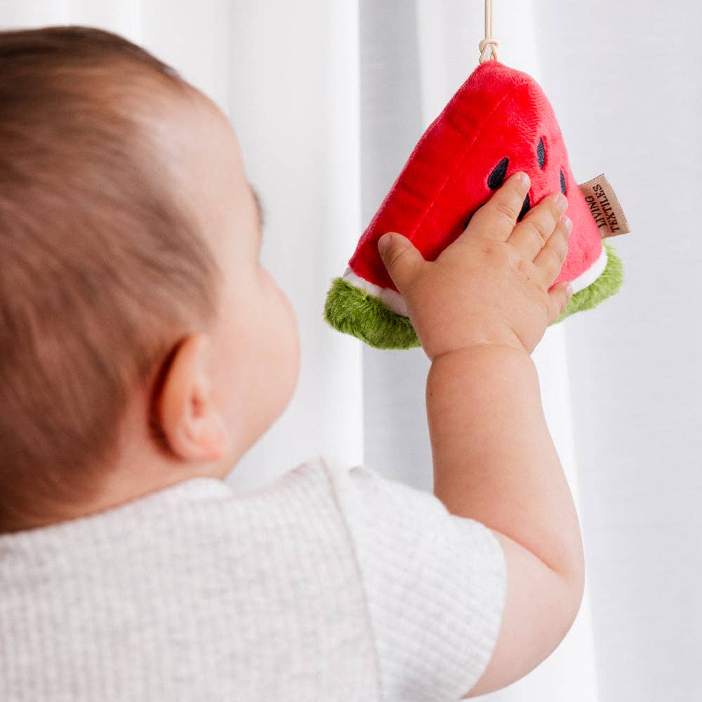 2 Pack Mini Market Brunch Stroller Toys