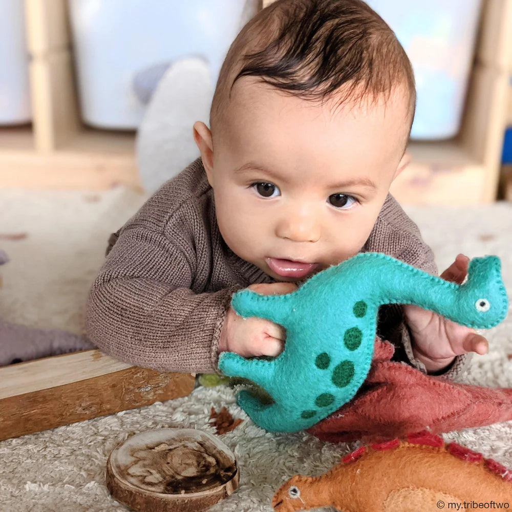Felt Dinosaur Toys