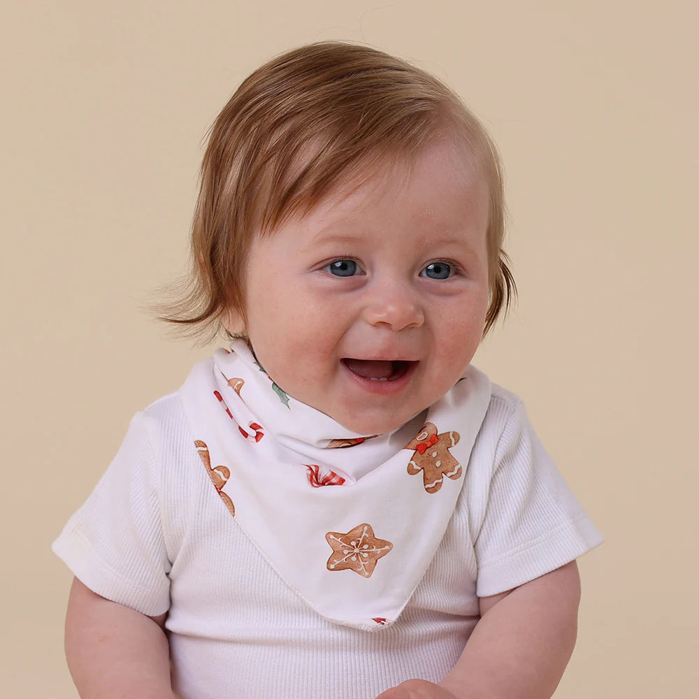 Christmas Organic Dribble Bib