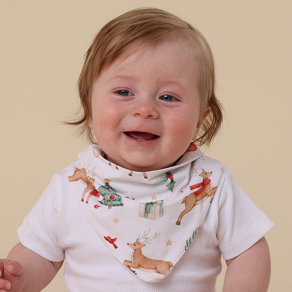 Christmas Organic Dribble Bib
