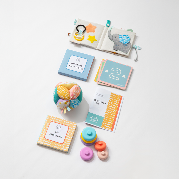 Playground Box 3: Nurturing Thoughtful Play (7-9M)