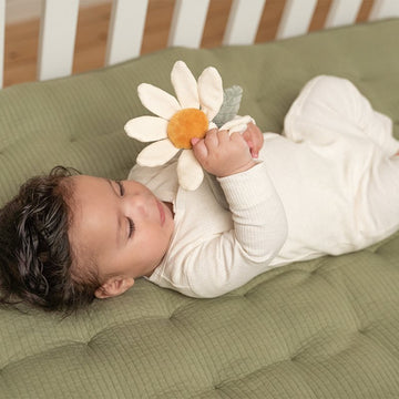 Little Farm Rattle