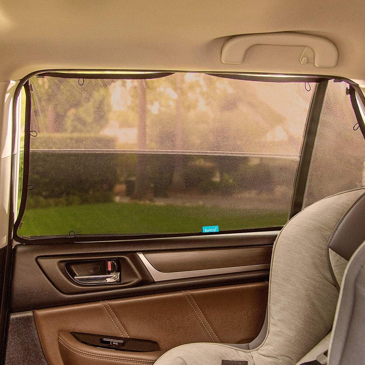 Stretch to Fit Sunshade