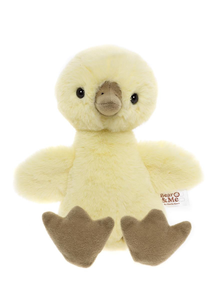 Bear & Me Collection