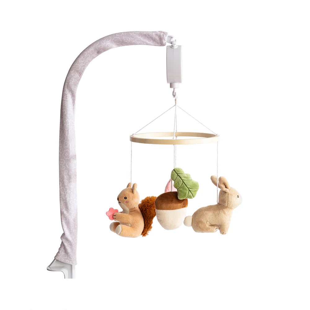 Musical Mobile Whimsical Wonderland