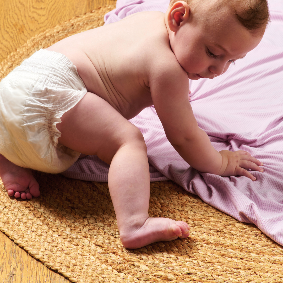 Eco Nappies Comfy Koalas