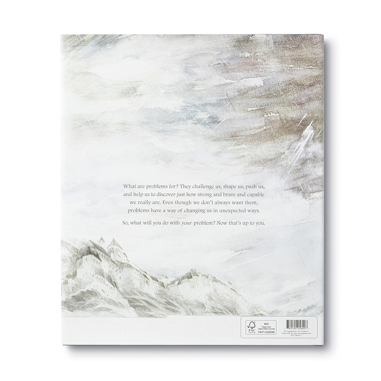 What do you do with a problem ?