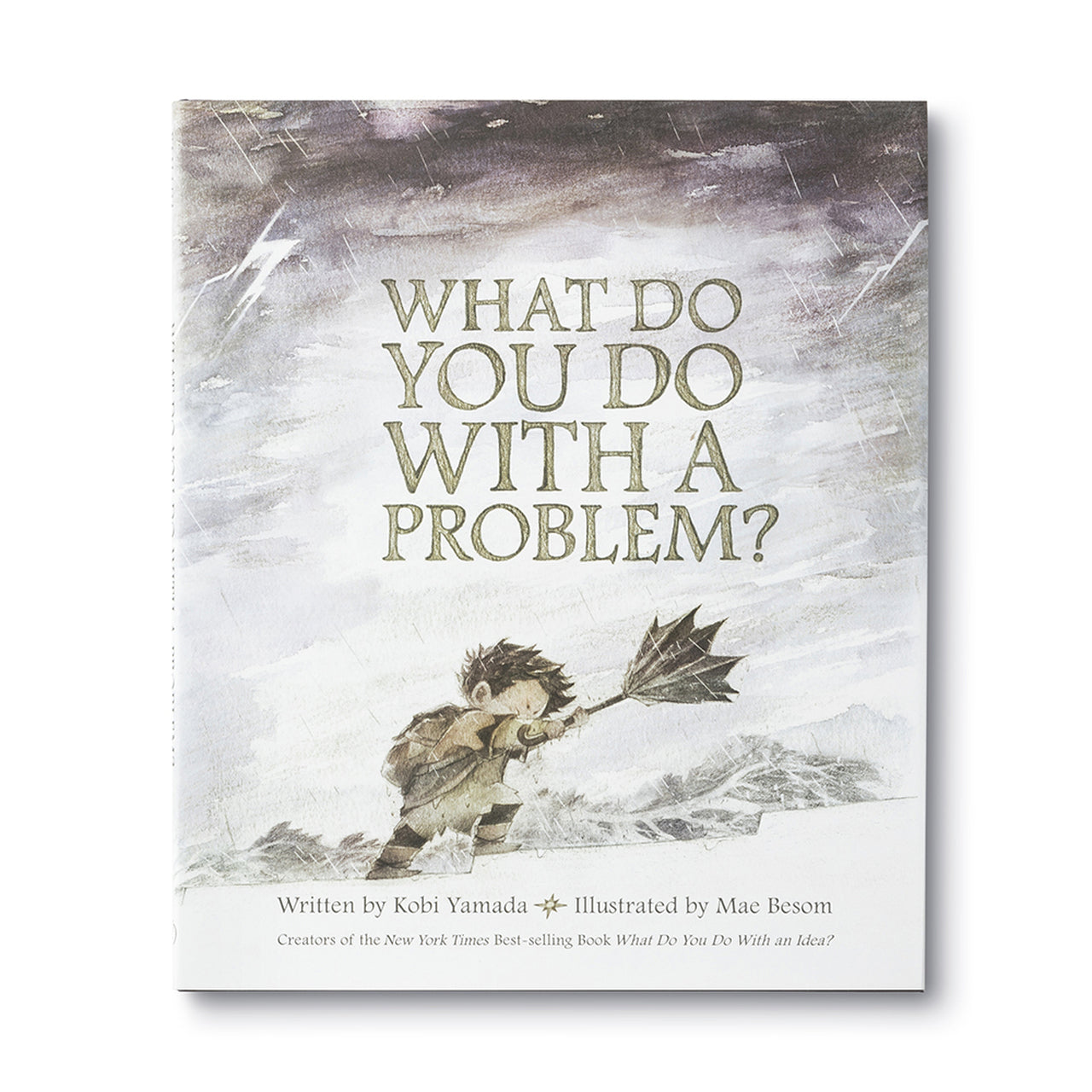 What do you do with a problem ?
