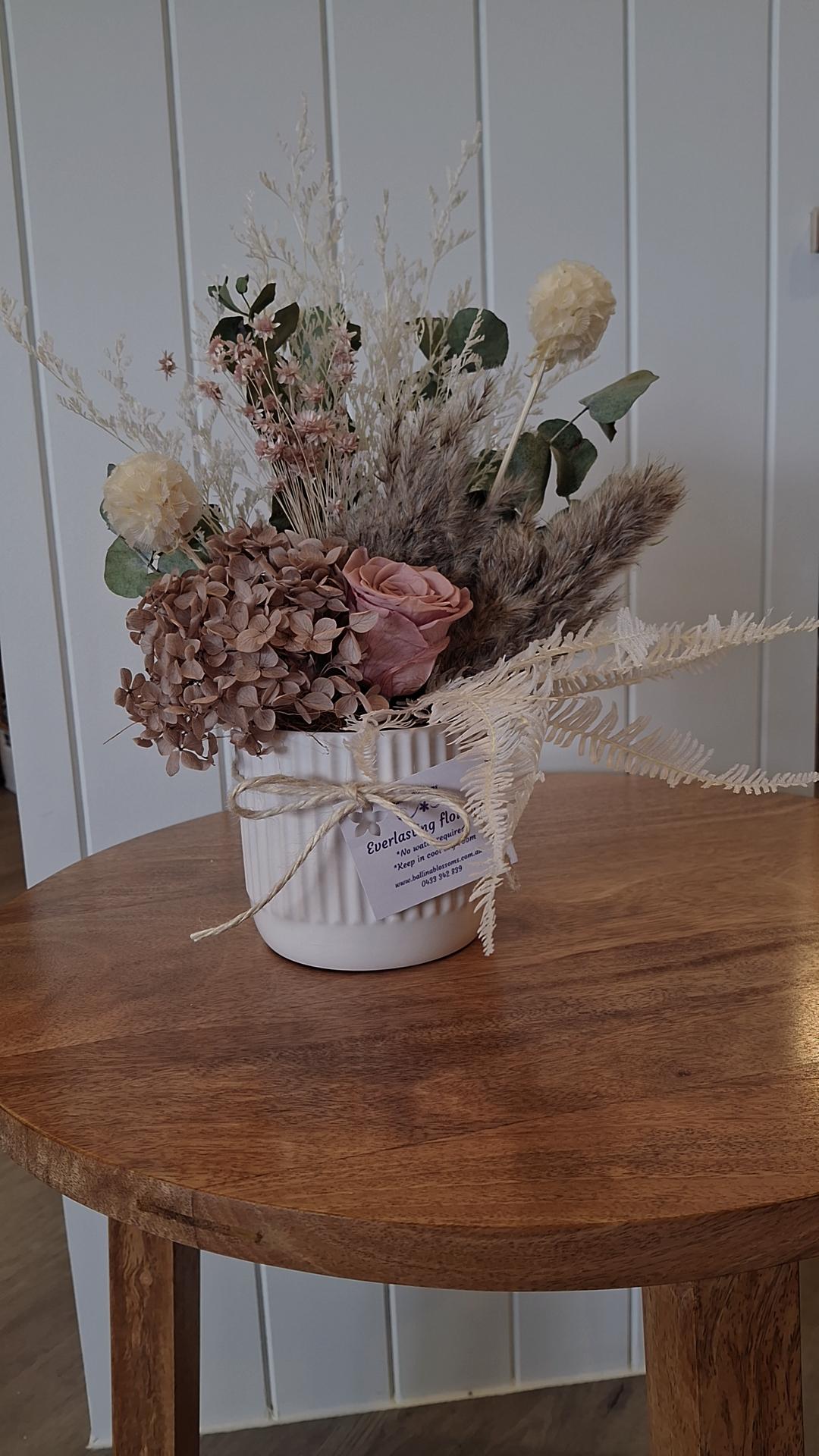 Everlasting Flowers by Ballina Blossoms