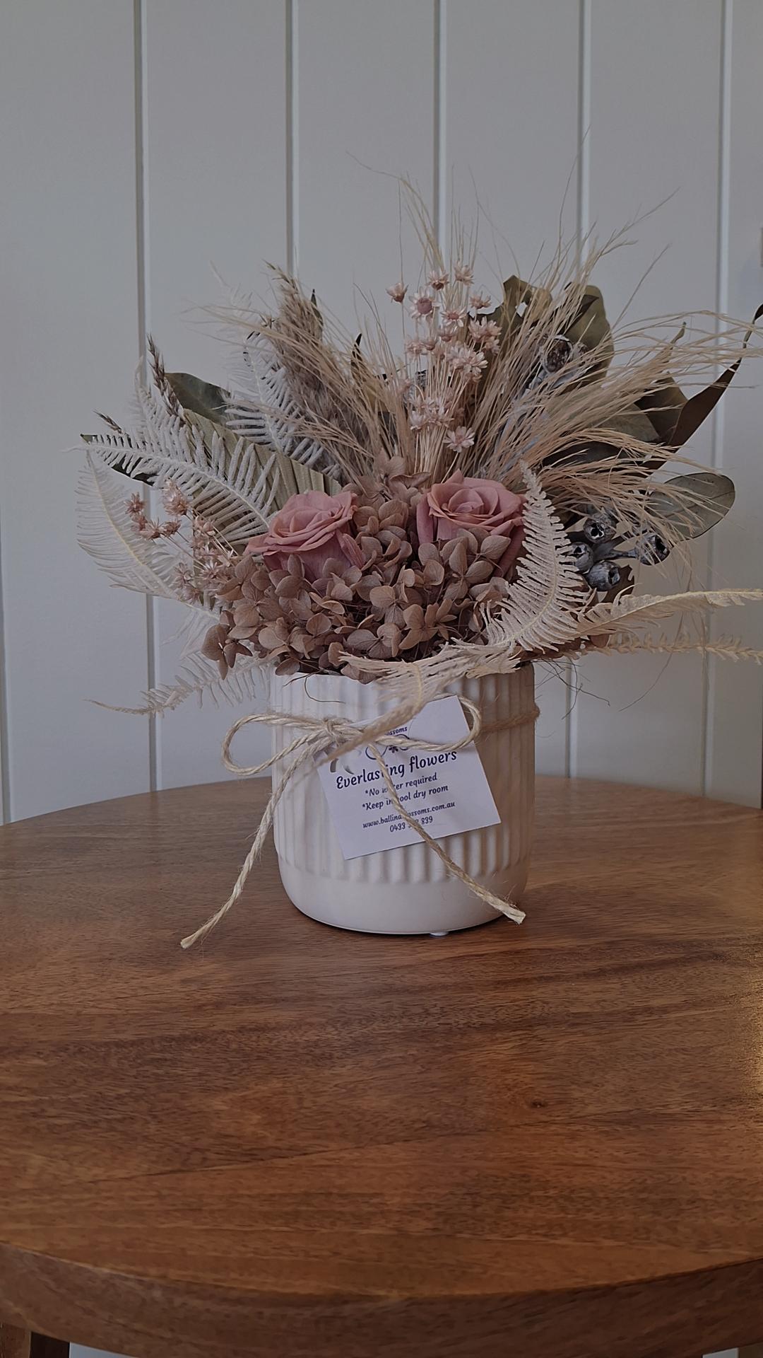 Everlasting Flowers by Ballina Blossoms