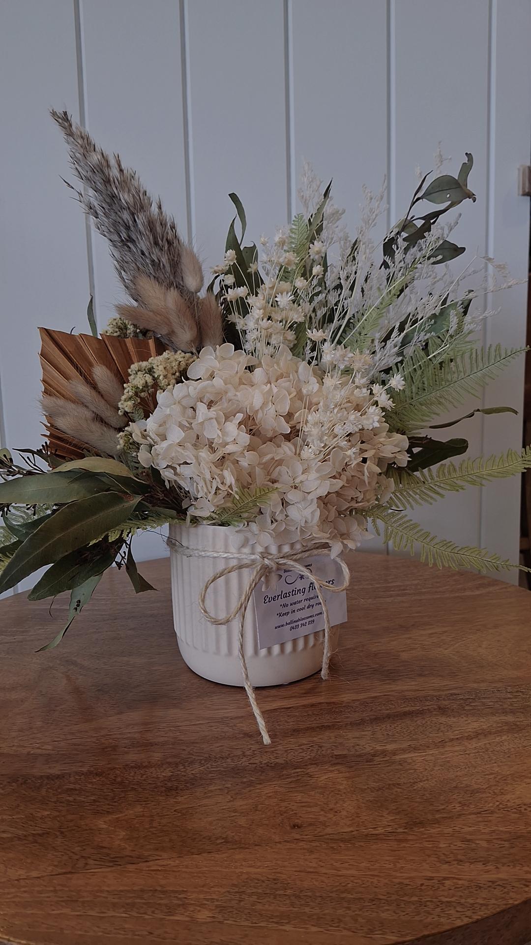 Everlasting Flowers by Ballina Blossoms