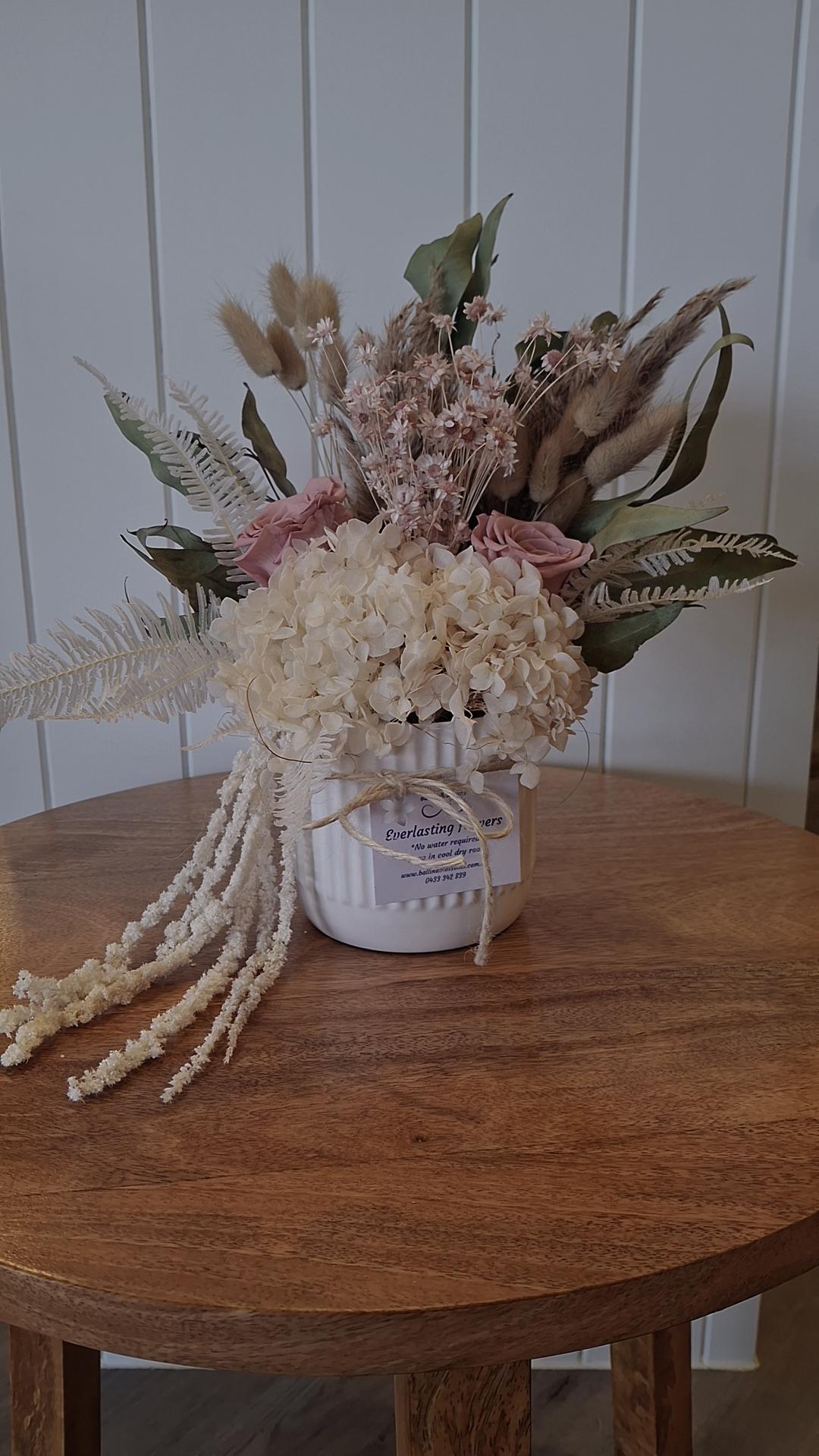 Everlasting Flowers by Ballina Blossoms