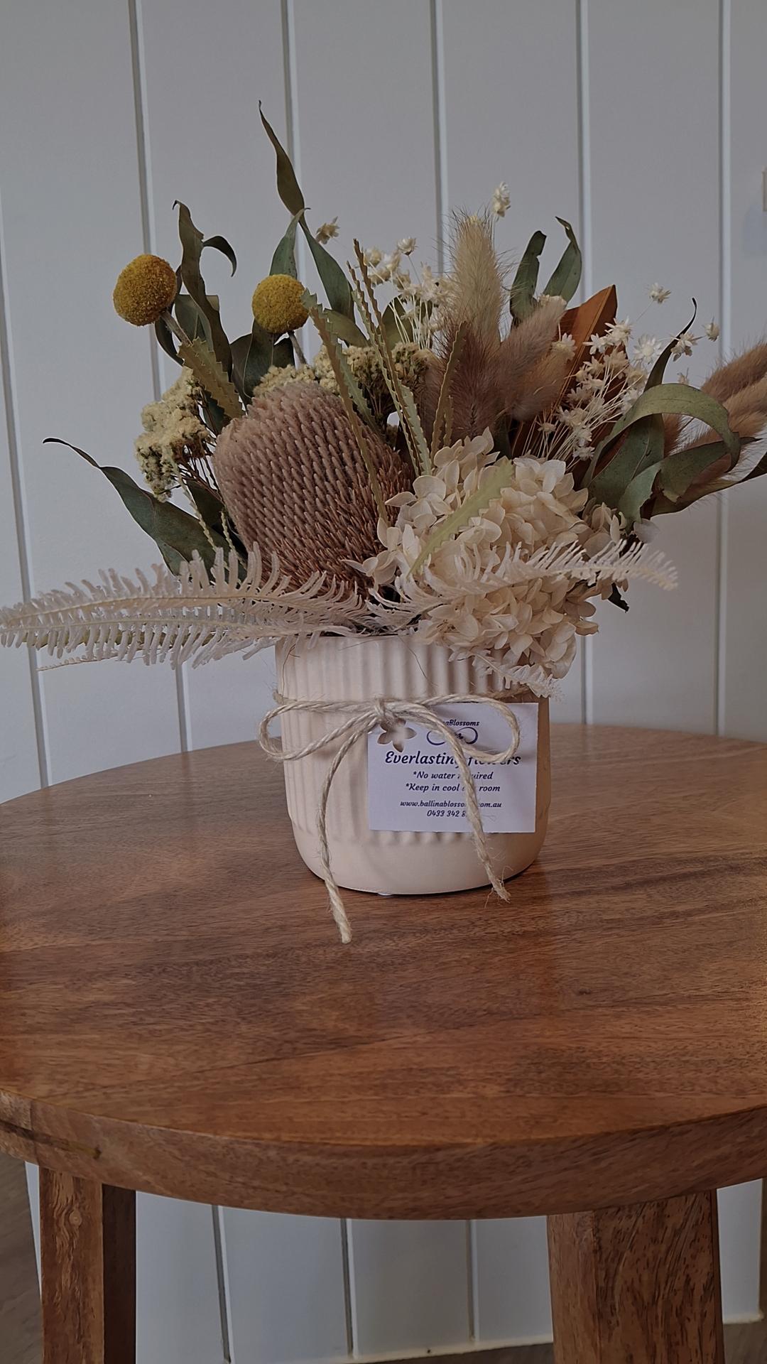 Everlasting Flowers by Ballina Blossoms