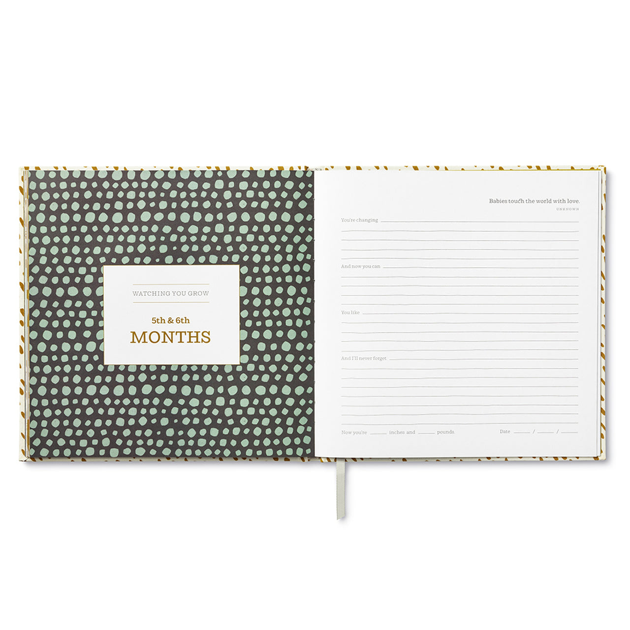 You're Here a Keepsake Baby Book