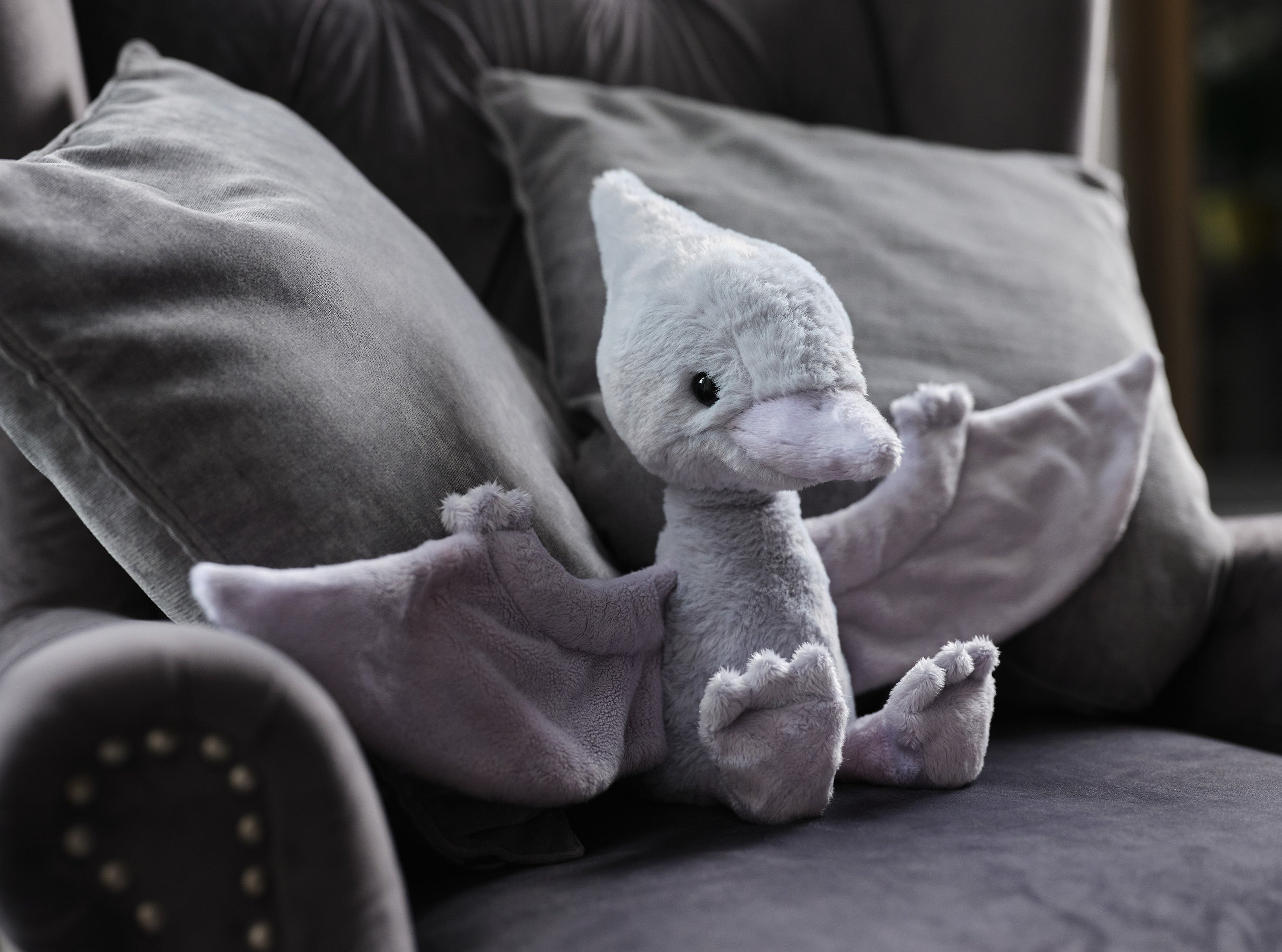 Bear & Me Collection