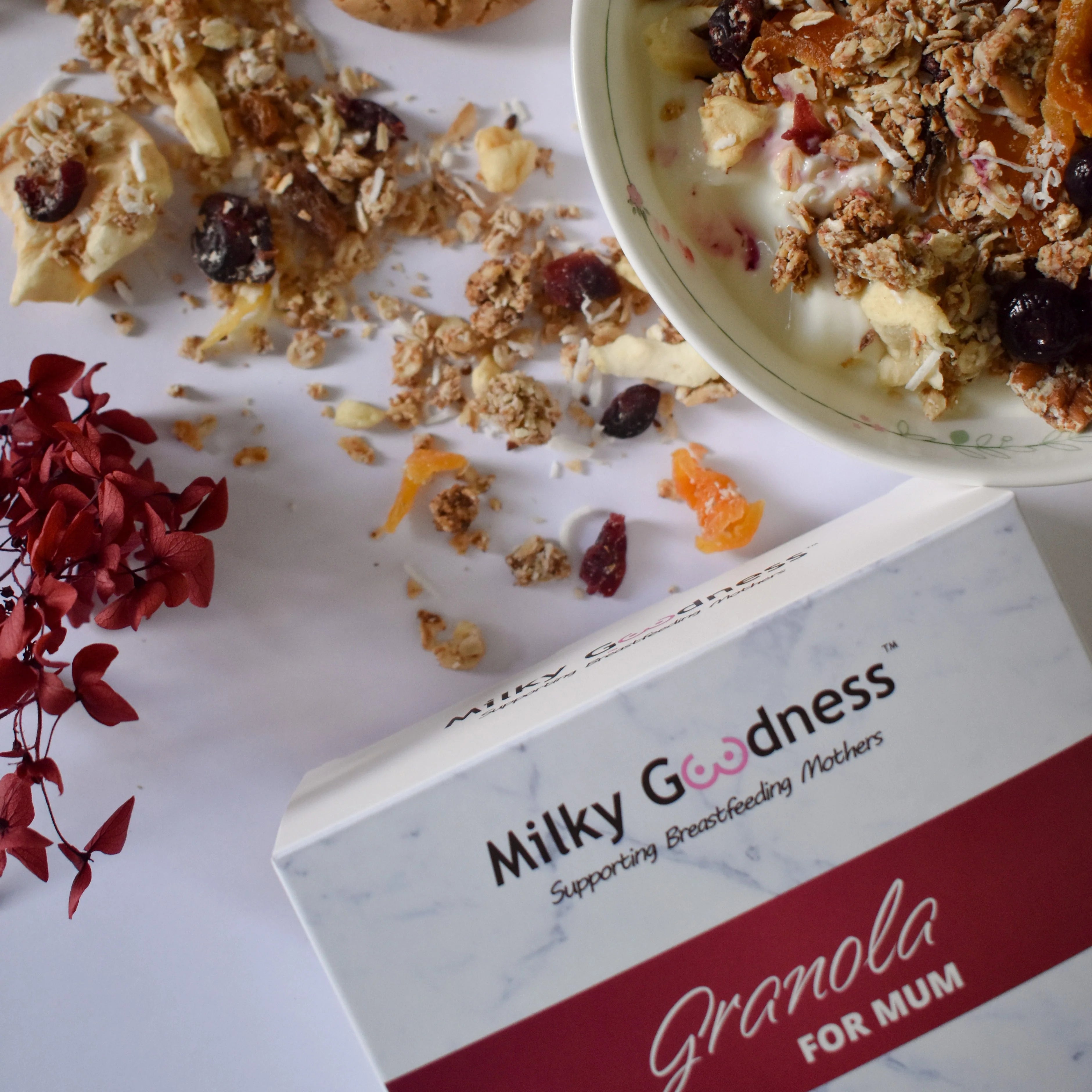 Berry-Nice Lactation Granola