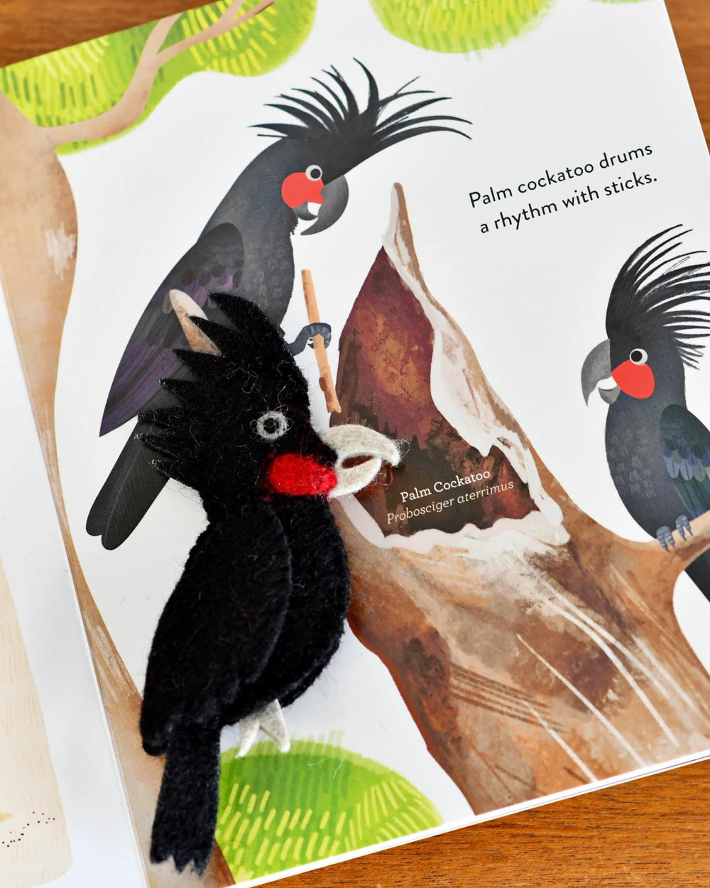 Book with Finger Puppet Gift Sets