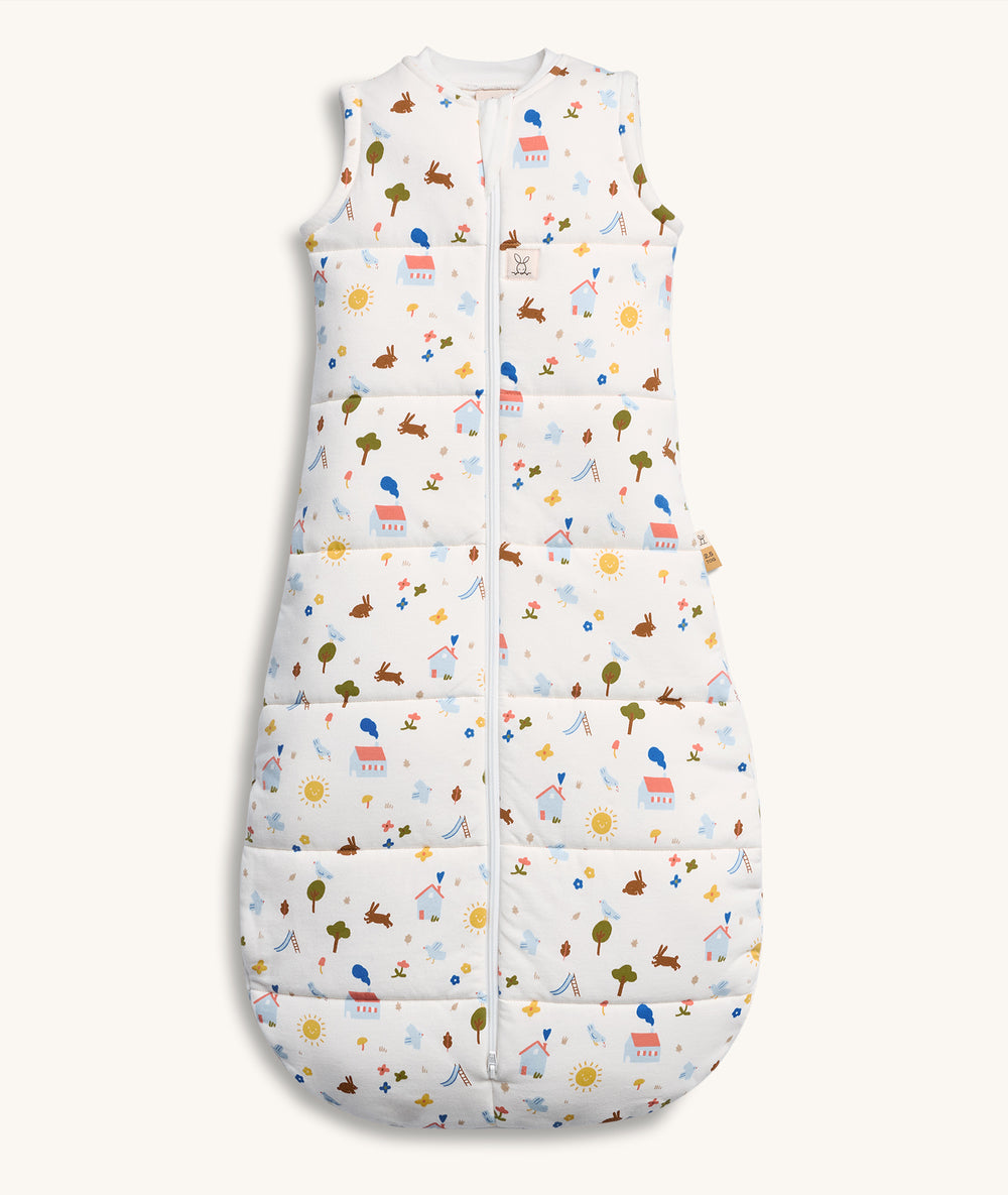 Sleeping Bag 2.5 TOG