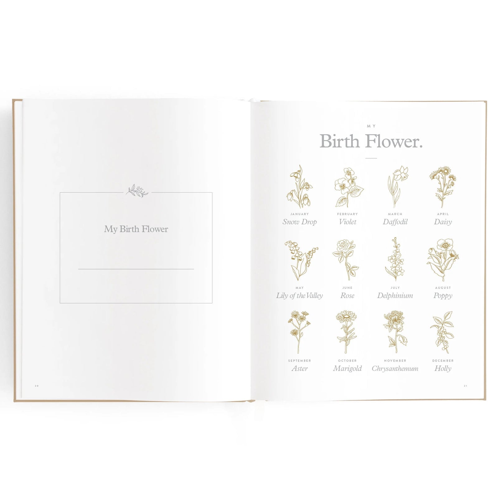 Fox & Fallow Baby Book