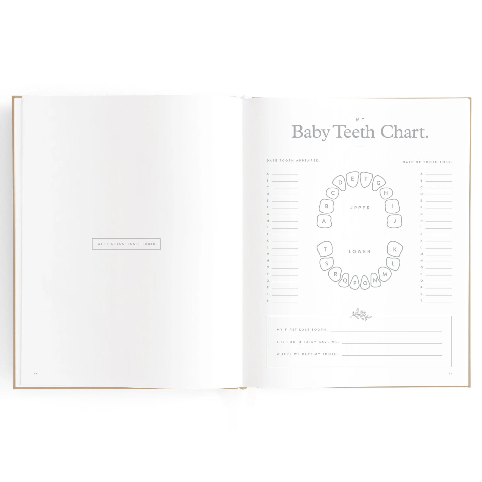 Fox & Fallow Baby Book