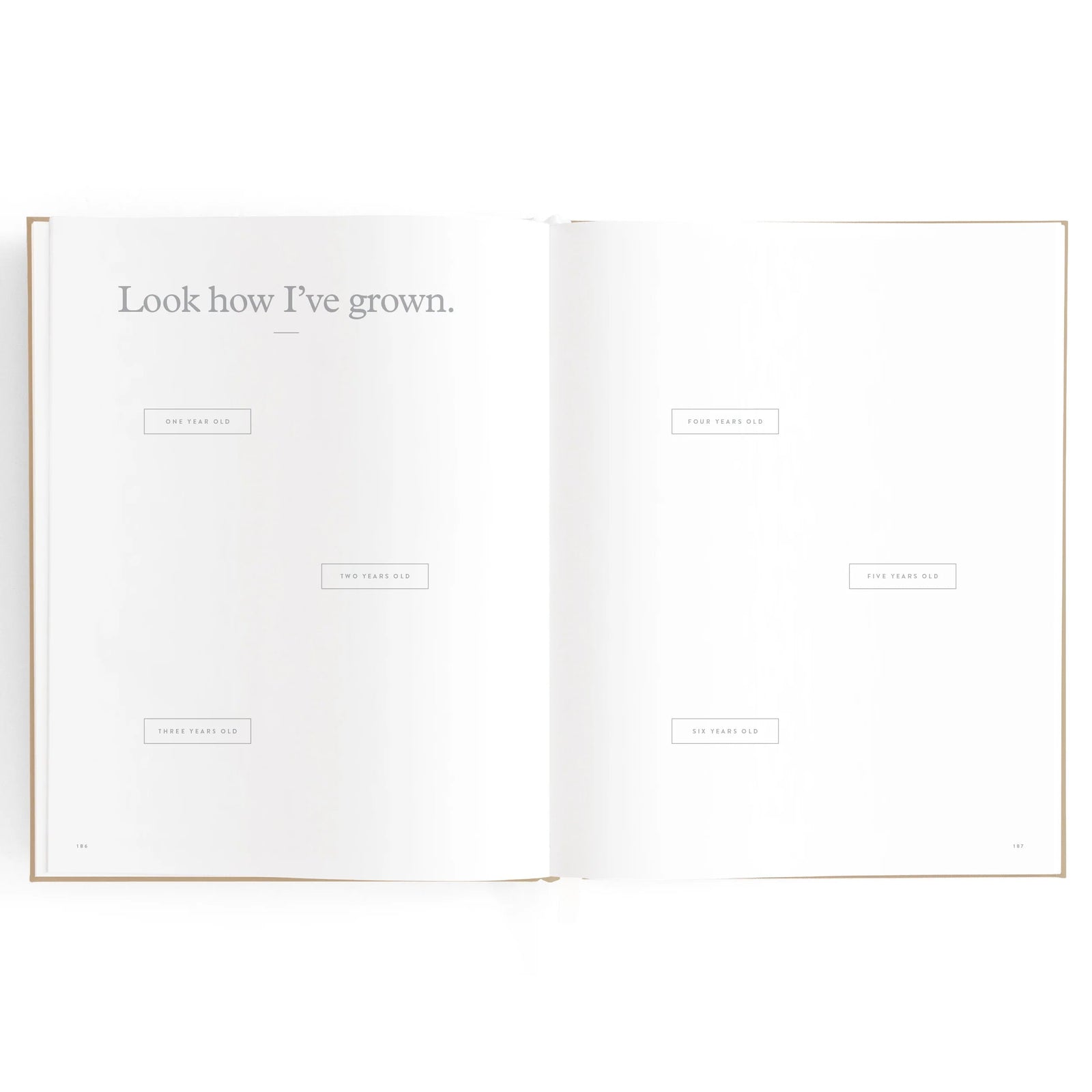 Fox & Fallow Baby Book