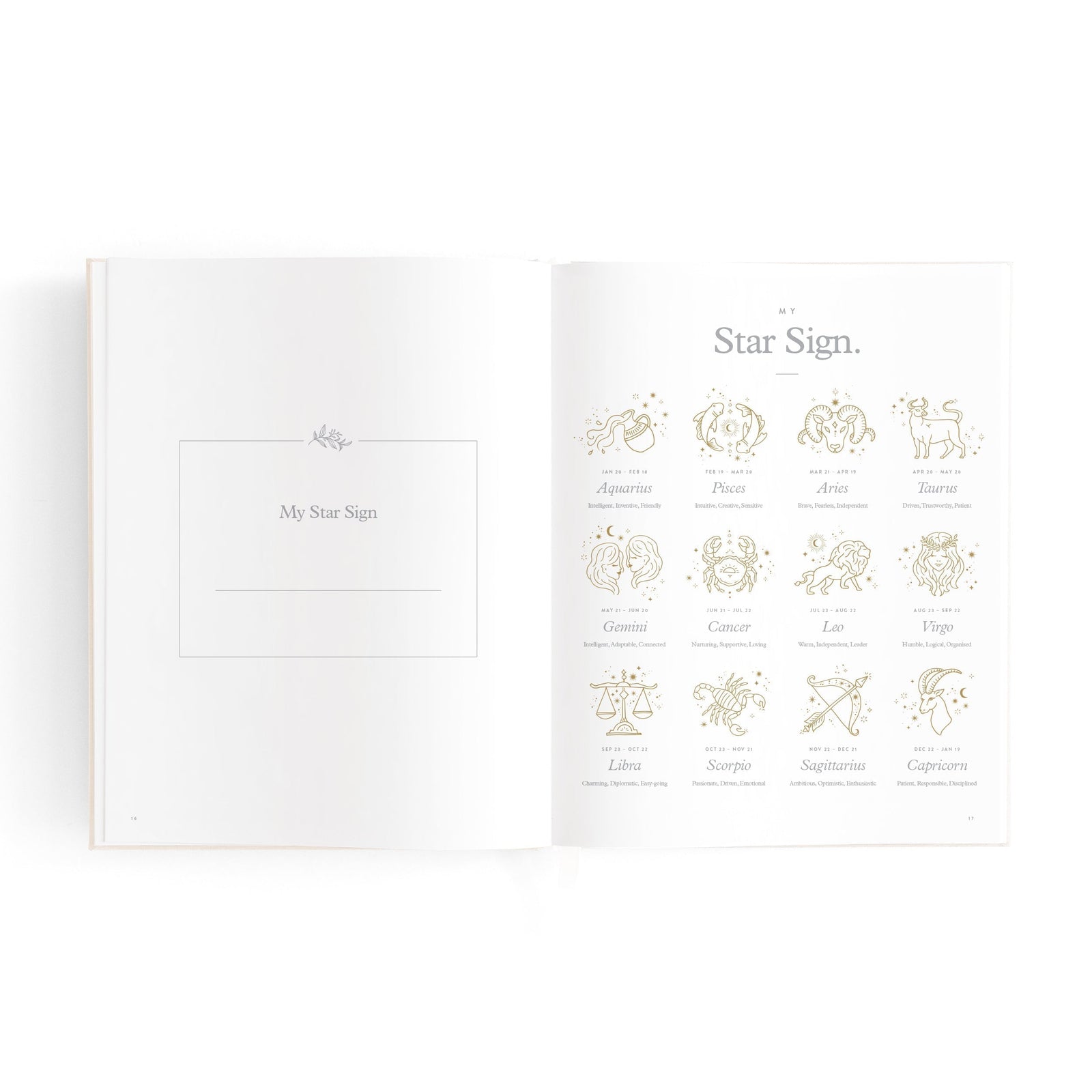 Mini Baby Book Oatmeal