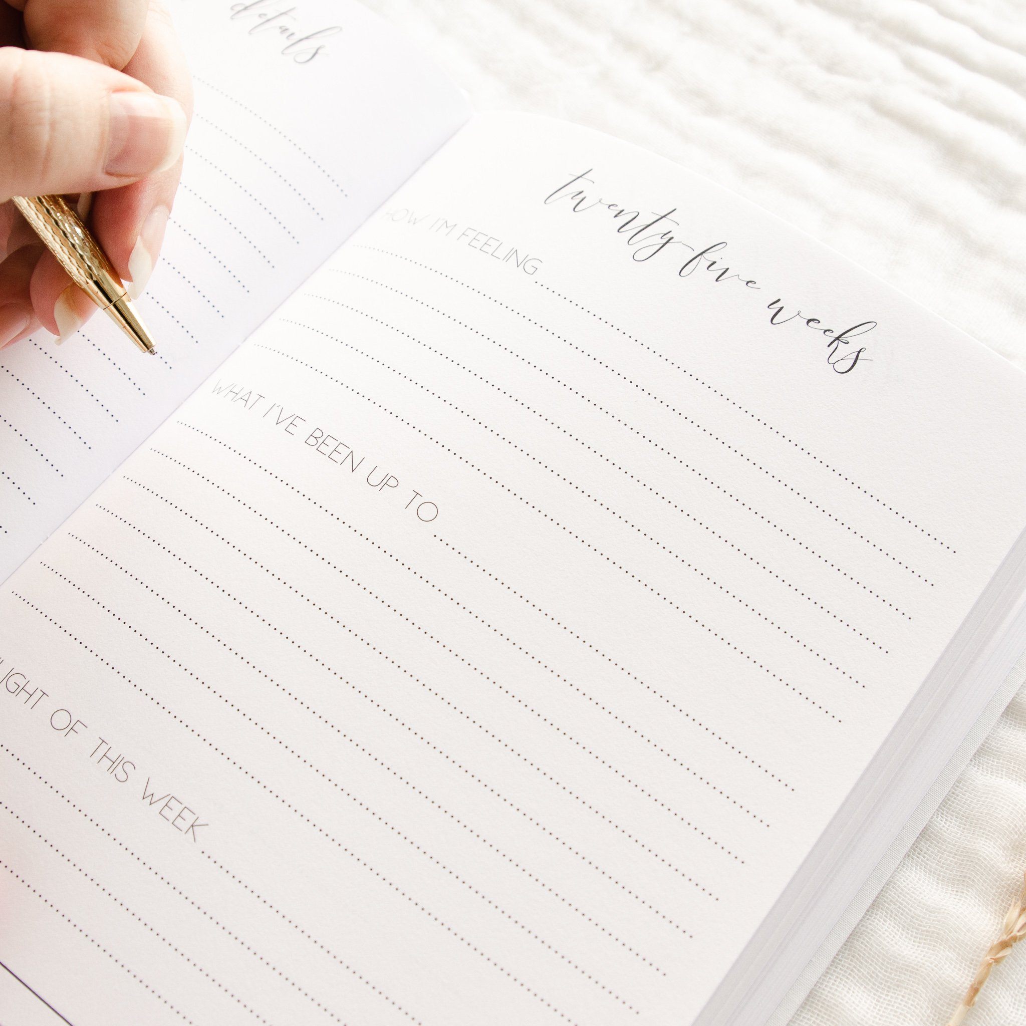 Hello Little Mama - Pregnancy Journal