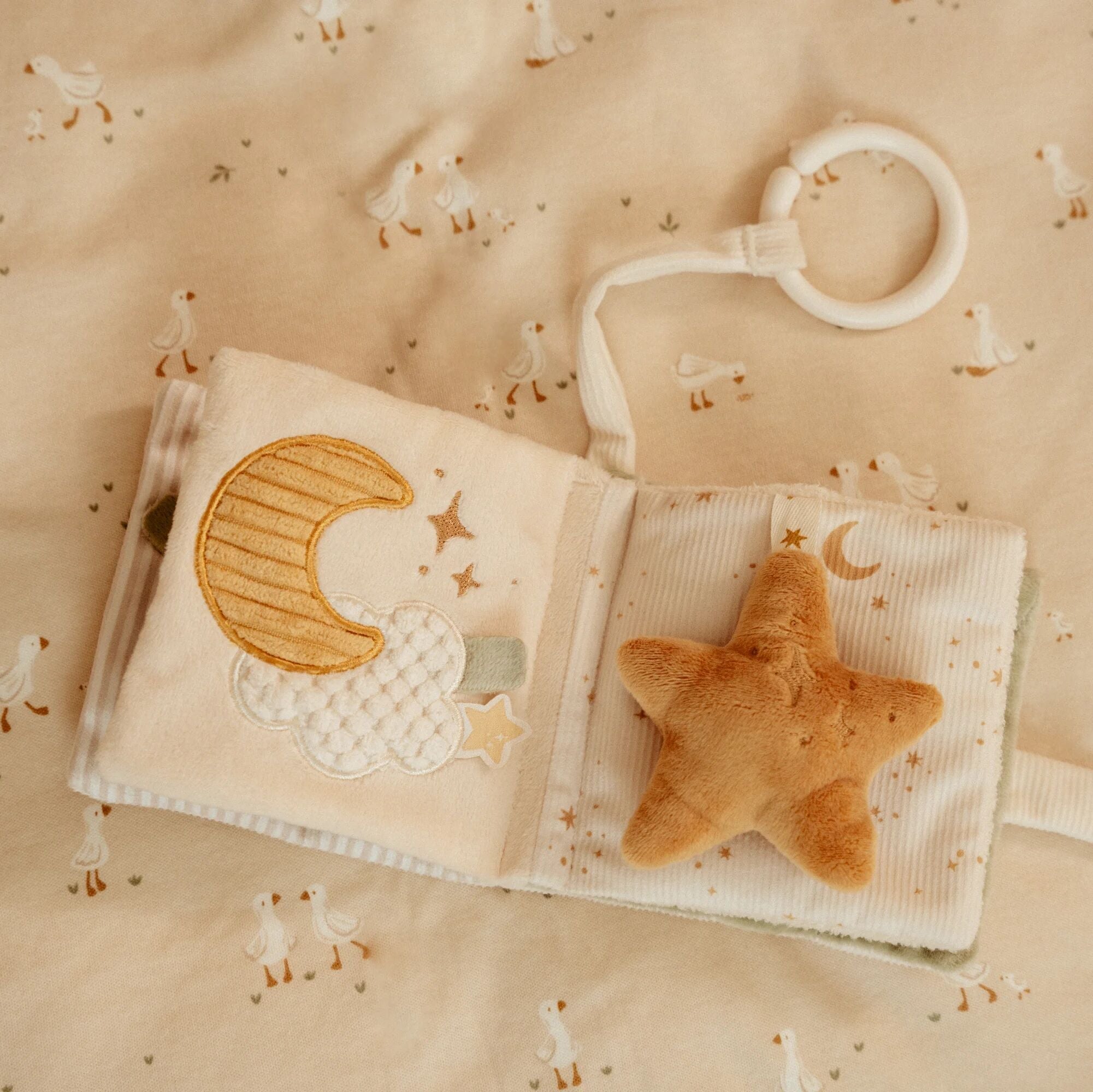 Little Goose Stroller book