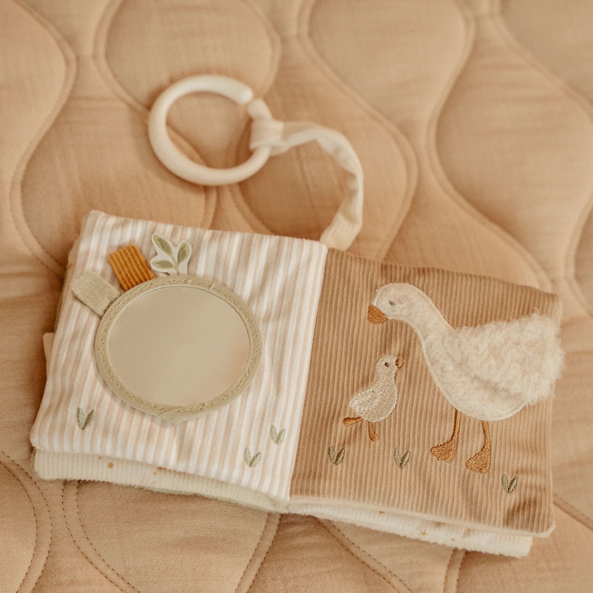 Little Goose Stroller book