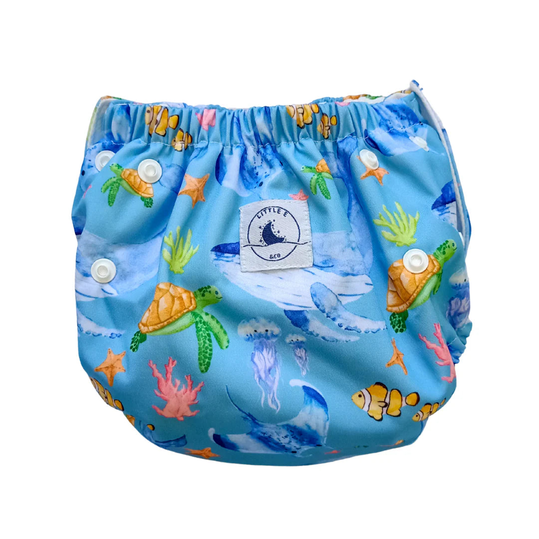 Reusable Swim Nappy & Mini Wet Bag Combo