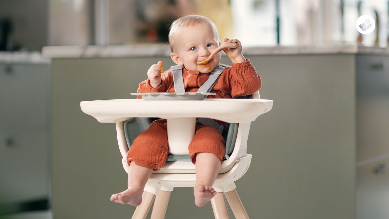 Maxi Cosi Moa 4-in-1 High Chair in Oat